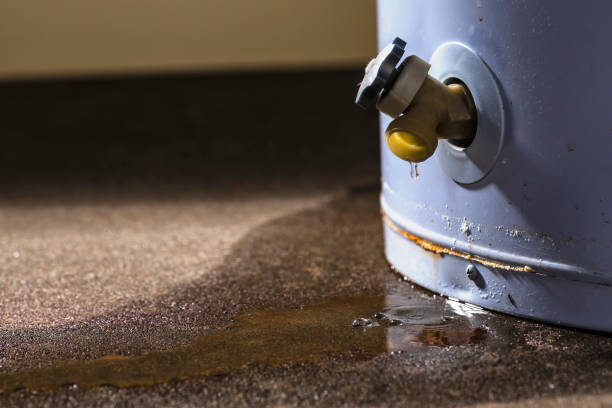 Best Flooded house restoration  in Grapeland, TX