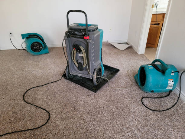 Water damage restoration mold remediation in Grapeland, TX