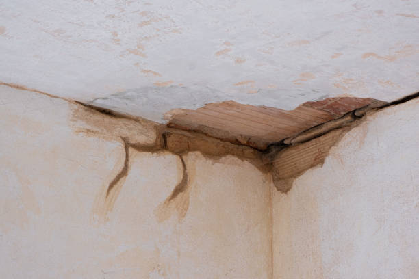 Reliable Grapeland, TX Water damage restoration Solutions