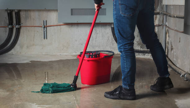 Best Water damage cleanup near me  in Grapeland, TX
