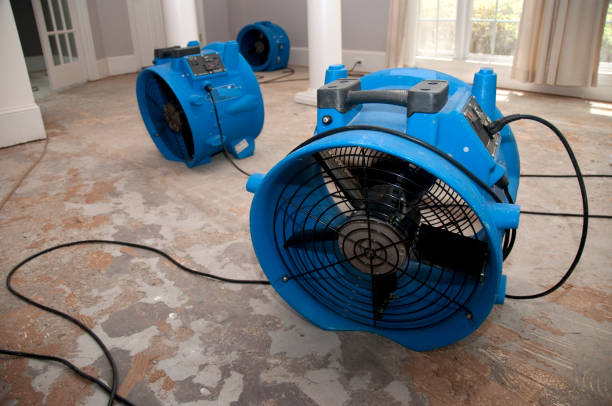 Best 24/7 water damage repair  in Grapeland, TX