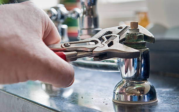 Best Flood restoration services  in Grapeland, TX