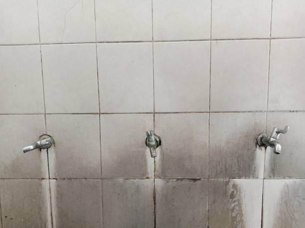 Best Commercial water damage restoration  in Grapeland, TX