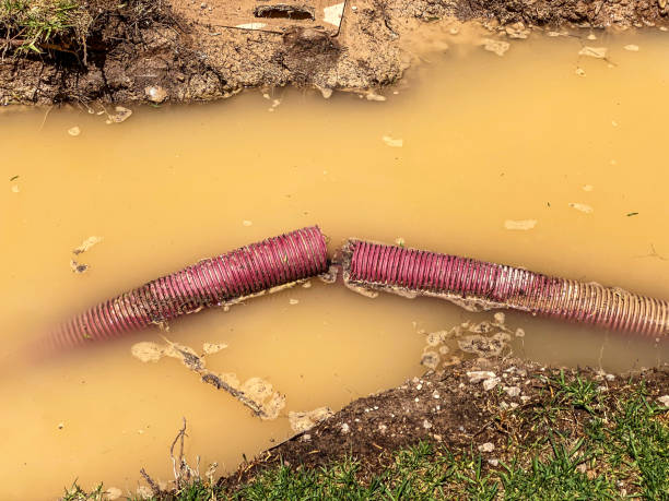 Best 24-hour water damage restoration  in Grapeland, TX