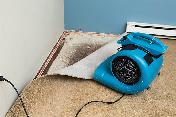 24/7 water damage repair in Grapeland, TX